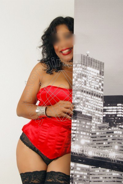 Stella MODENA 3533305833