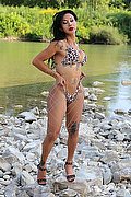  Trans Escort Adriana Paulett 389 13 99 263 foto 388
