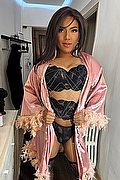 Bologna Trav Zaffira Dior 351 22 39 498 foto 17