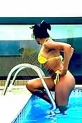Bologna Trans Naomy Xl 329 01 67 932 foto 143