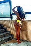 Bologna Trans Naomy Xl 329 01 67 932 foto 139