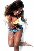 Rimini Trans Escort Alessandra Toledo Pornostar 339 67 43 933 foto 111