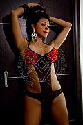 Rimini Trans Escort Alessandra Toledo Pornostar 339 67 43 933 foto 118