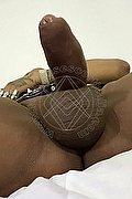 Porto Sant'elpidio Trans Escort Bruna Diaz XL 380 69 93 638 foto hot 34