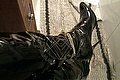 Isernia Mistress Trans Padrona Alessandra 371 52 12 112 foto 8