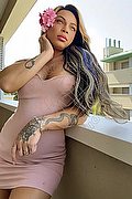Genova Trans Dior 347 28 25 420 foto 16