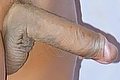 Grosseto Trans Sabrina 328 08 54 149 foto hot 10
