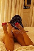 Arezzo Escort Pamela Dolce 366 21 09 445 foto 13