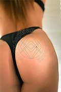 Grosseto Trans Melissa Txx 350 90 60 553 foto 16