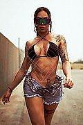 Olbia Trans Escort Bambola 331 32 58 034 foto 15