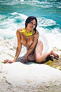 Bologna Trans Escort Naomy Xl 329 01 67 932 foto 219