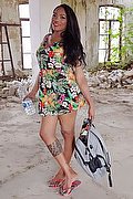 Bologna Trans Escort Naomy Xl 329 01 67 932 foto 23