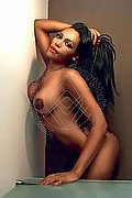 Bologna Trans Escort Naomy Xl 329 01 67 932 foto 185