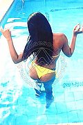 Bologna Trans Escort Naomy Xl 329 01 67 932 foto 146