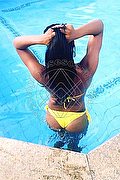 Bologna Trans Escort Naomy Xl 329 01 67 932 foto 147