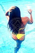 Bologna Trans Escort Naomy Xl 329 01 67 932 foto 148
