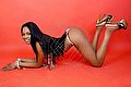 Bologna Trans Escort Naomy Xl 329 01 67 932 foto 251