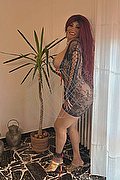Siena Trans Escort Carolina Sexy 348 65 99 498 foto 10