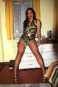 Dalmine Trans Escort Luisa 334 32 13 842 foto 52
