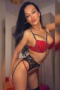 Genova Trans Escort Giselle Oliveira 388 16 17 895 foto 8