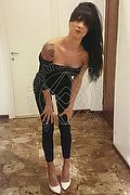 Torre Del Lago Puccini Trans Pamela Sexy 389 11 65 704 foto 8