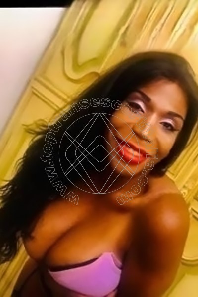 Sasha LODI 3286160636