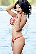 Lavagna Trans Waleska Ferraz 329 63 36 343 foto 6