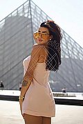 Milano Trans Nicole Andrade 329 89 48 041 foto 57