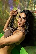 Milano Trans Nicole Andrade 329 89 48 041 foto 13