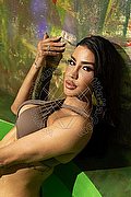 Milano Trans Escort Nicole Andrade 329 89 48 041 foto 15