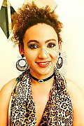 Prato Trav Evelyn Zaffiro 320 17 58 613 foto 7