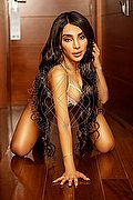 Roma Trans Pamelita 331 15 07 952 foto 64