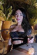 Roma Trans Pamelita 331 15 07 952 foto 136