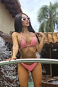 Roma Trans Pamelita 331 15 07 952 foto 52
