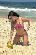 Roma Trans Pamelita 331 15 07 952 foto 41