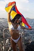 Roma Trans Pamelita 331 15 07 952 foto 47