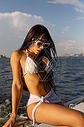 Roma Trans Pamelita 331 15 07 952 foto 44