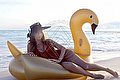 Napoli Trans Escort Dafne Pornostar 380 14 22 205 foto 178