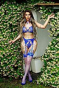 Napoli Trans Escort Dafne Pornostar 380 14 22 205 foto 29