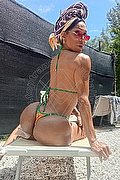 Frosinone Trans Escort Wanessa Ambrosio 351 80 69 231 foto 11