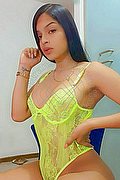 Alba Trans Escort Celeste New 351 18 37 392 foto 28