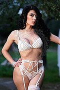 Mottola Trans Shaila Rodriguez 338 47 45 523 foto 18