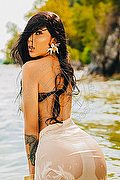 Ospitaletto Trans Escort Graziella Farias 351 58 74 125 foto 27