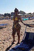 Prato Trans Tain� Oliveira 328 53 82 487 foto 64