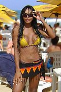 Prato Trans Tain� Oliveira 328 53 82 487 foto 54