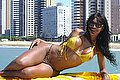 Prato Trans Tain� Oliveira 328 53 82 487 foto 53