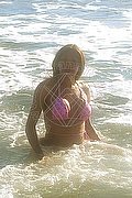 Prato Trans Tain� Oliveira 328 53 82 487 foto 15