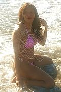 Prato Trans Tain� Oliveira 328 53 82 487 foto 14