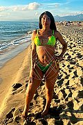 Prato Trans Tain� Oliveira 328 53 82 487 foto 6