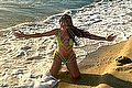 Prato Trans Tain� Oliveira 328 53 82 487 foto 4